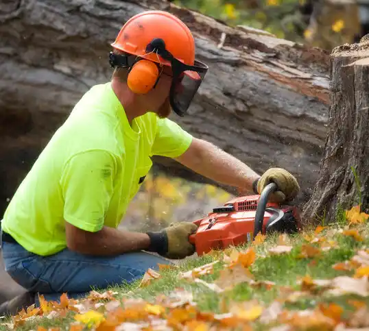 tree services East Flat Rock